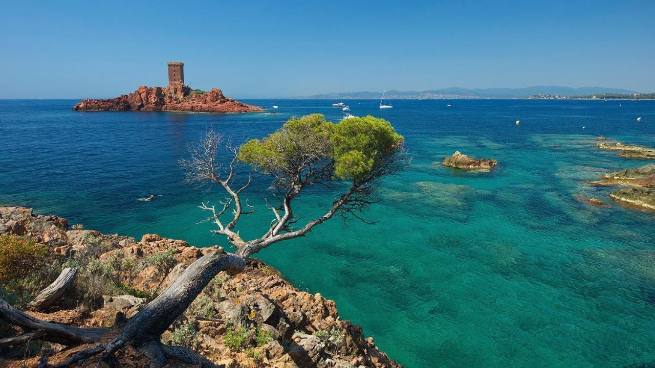 Appartement Zen A Frejus Avec Jardin, Piscine, Tennis, Proche Mer Kültér fotó
